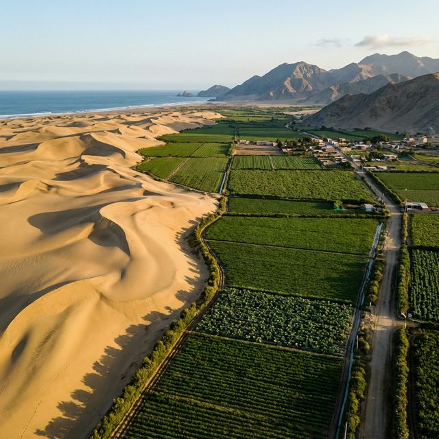Zona arenosa tipo desierto de Cañete